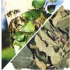 Herbs from Poland Birkenblatt – Unterstützt die Produktbild-Vorschau 2