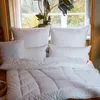 A bed with multiple pillows and a duvet, set against a window with plants. Produktbild-Vorschau