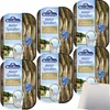 Rügenfisch Kieler Sprotten 6er Pack (6x106g Dose) + usy Produktbild-Vorschau 1