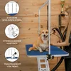 Tavolo idraulico per toelettatura cani, regolabile in Anteprima dell’immagine prodotto 2