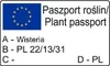 Čínská modrá vinná réva fialová 2L Náhled obrázku produktu 8