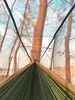 Amaca con zanzariera, sedia a sdraio, letto da campeggio, Anteprima dell’immagine prodotto 9