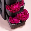Aufbewahrungskorb Korb mit Deckel 19 L Aufbewahrungskiste Produktbild-Vorschau 2