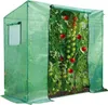 A green greenhouse with tomato plants growing inside. Podgląd zdjęcia produktu