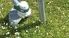 Cordless lawn trimmer GM LI-2020/40 with 20 volt lithium Náhled obrázku produktu 10
