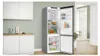 Bosch Serie 4 KGN49OCAF, 440 l, ST-T, 11,5 kg/24h, A, Fresh Produktbild-Vorschau 3