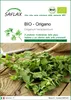 SAFLAX  -- Origano - 1500 semi - Origanum Anteprima dell’immagine prodotto 1