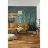Coloray Fototapete 208x146 cm Latextapete Magicstick - Wald Produktbild-Vorschau 4