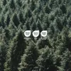 A dense forest of evergreen trees. Produktbild-Vorschau