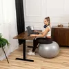 A woman is working on a laptop while sitting on an exercise ball at a standing desk in a home office setting. Náhled obrázku produktu