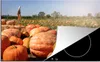 KitchenYeah© Herdabdeckplatte Kürbisse in einem Kürbisfeld Produktbild-Vorschau 1