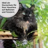 TTL GARDEN Vogelschutznetz 2x5m grün feinmaschig 20mm Produktbild-Vorschau 6