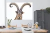MuchoWow® Poster Steinbock - Tiere - Hoorn 180x120 cm - Produktbild-Vorschau 3