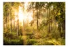 Basera Selbstklebende Fototapete Waldmotiv c-C-0032-a-c, Produktbild-Vorschau 2