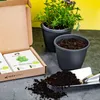 Seedhero  Gemüsesamen-Set mit 12 Sorten Produktbild-Vorschau 7