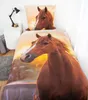 Herding Renforcé-Bettwäsche Pferd 135 x 200/80 x 80 cm Produktbild-Vorschau 2