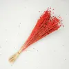 Flachs Getrocknete - (Leinen) - Orange Produktbild-Vorschau 5