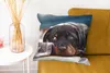MuchoWow® Zierkissen Sofakissen Wohnzimmer Dekokissen 45x45 Produktbild-Vorschau 6