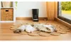 Cecotec Pumba 6000 Purrfect Meal Smart, Produktbild-Vorschau 7