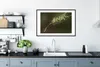 MuchoWow® MuchoWow® Gerahmtes Poster Chamäleon fängt Produktbild-Vorschau 4