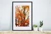 MuchoWow® Gerahmtes Poster Wald - Herbst - Jahreszeiten Produktbild-Vorschau 4