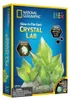 Kit per la coltivazione di cristalli luminosi del National Anteprima dell’immagine prodotto 1