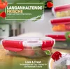 Zestaw pojemników do przechowywania żywności Viwares – 5 Podgląd zdjęcia produktu 2
