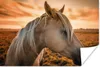 MuchoWow® Poster Pferd - Sonne - Orange 180x120 cm - Produktbild-Vorschau 1