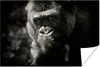 MuchoWow® Poster Gorilla auf schwarzem Hintergrund in Produktbild-Vorschau 1