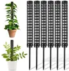 Soportes para plantas tipo musgo - Extensibles hasta 150 cm Vista previa de la imagen del producto 1