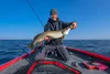 Fishing Expedition LakeSoniX - sonar Wi-Fi echosonda pro Voir les images du produit 7