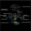 Logitech G Pro Lightspeed Wireless Gaming Mouse Produktbild-Vorschau 10