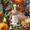 GUERLAIN Aqua Allegoria Mandarine Basilic EDT 125ml Podgląd zdjęcia produktu 9