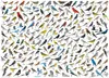 Puzzle 1000 elementów The World of Birds 6000 0821 Náhľad obrázku produktu 2