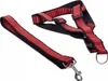 Verk 19129_CZE Nylongeschirr mit Leine 125 x 2,5 cm - rot Produktbild-Vorschau 4