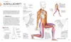 Krafttraining - Die Anatomie verstehen Produktbild-Vorschau 5
