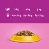 Whiskas Kurczak dla kota 1,4 kg Produktbild-Vorschau 3
