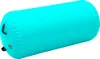 vidaXL Rotolo gonfiabile per ginnastica con pompa 120x75 cm Anteprima dell’immagine prodotto 1