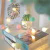 A string of pom-pom fairy lights is draped over books, with a small potted succulent in the background. Produktbild-Vorschau