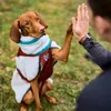 Non-stop dogwear Hundejacke Trekking Fleece Jacket Produktbild-Vorschau 2
