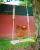 Hühnerschaukel, Hühner Spielzeug, Vogelspielzeug, Spielzeug Produktbild-Vorschau 4