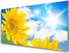 Acrylglasbilder 100x50 Wandbild Druck Blumen Pflanzen Produktbild-Vorschau 1
