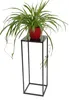 A spider plant in a red pot sits on a black metal plant stand. Produktbild-Vorschau
