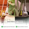 A split image showing two methods of attaching a plant light to a plant pot. Produktbild-Vorschau