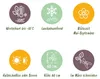 Green boutiQ - Stauden - Nepeta sib. Wild Orchid - Produktbild-Vorschau 8