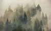 Digitaldruck Vlies Fototapete - Mystical Firs - Größe 400 x Produktbild-Vorschau 2