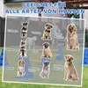 PawHut Agility Set pre psov – 3-dielna agility výbava na Náhľad obrázku produktu 8