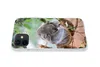 MuchoWow® Handyhülle Schutzhülle Hülle für iPhone 12 Koala Produktbild-Vorschau 5