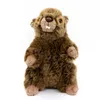 Kuscheltier Murmeltier 17 cm braun Produktbild-Vorschau 2
