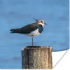 MuchoWow® Poster Vogel - Tiere - Pfahl - Blau - Kiebitz Produktbild-Vorschau 1